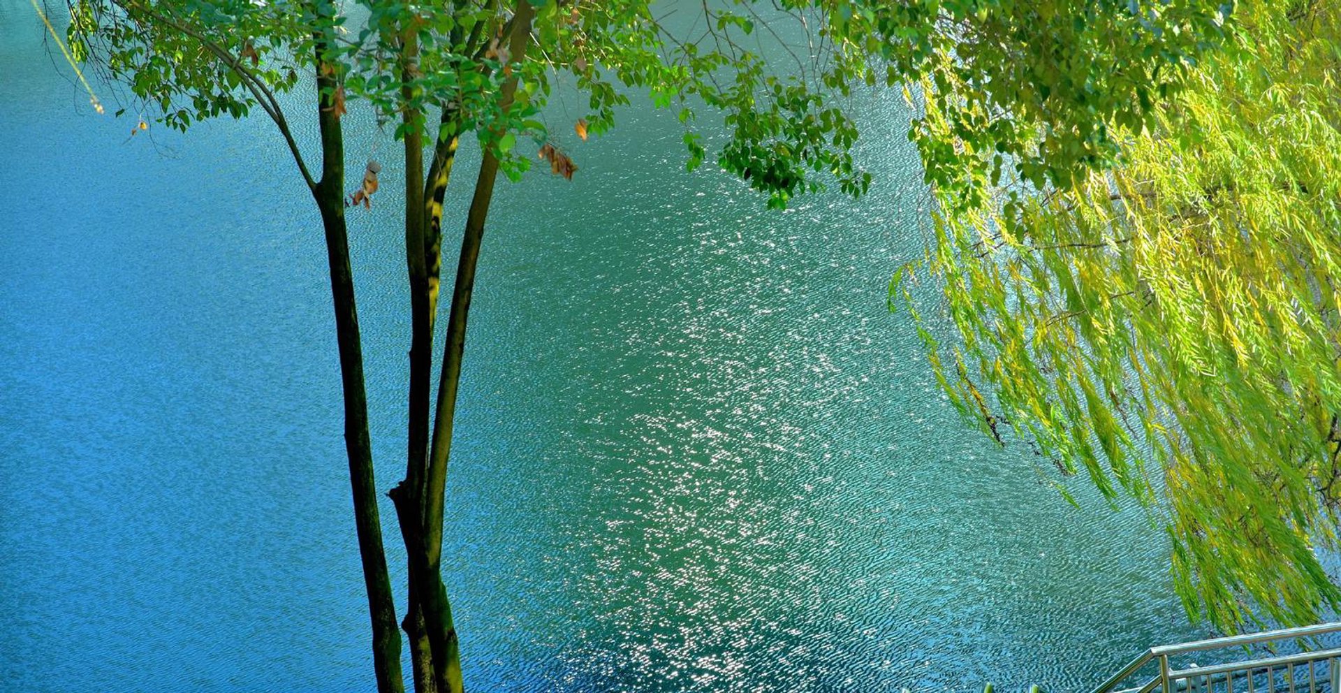 小白网